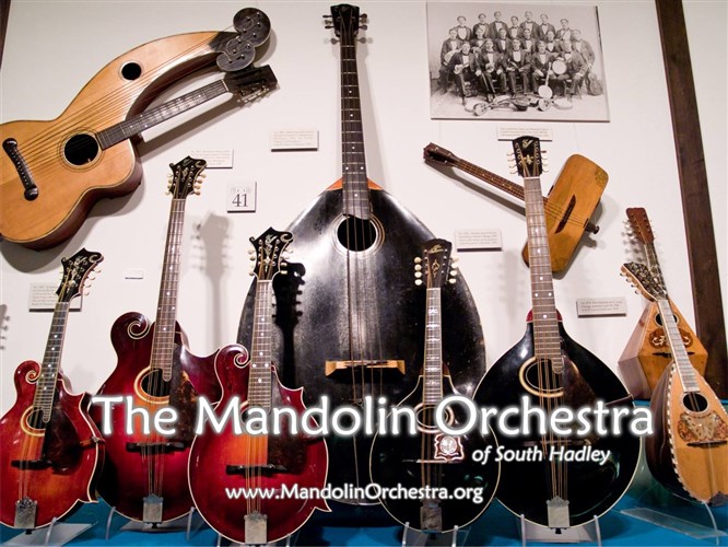 The Mandolin Orchestra